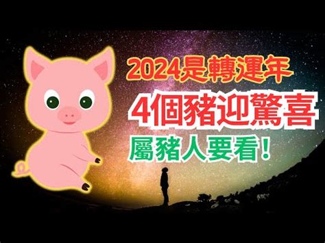 豬年運勢|【2024豬年】生肖豬2024好運滾滾來！屬豬運勢、幸。